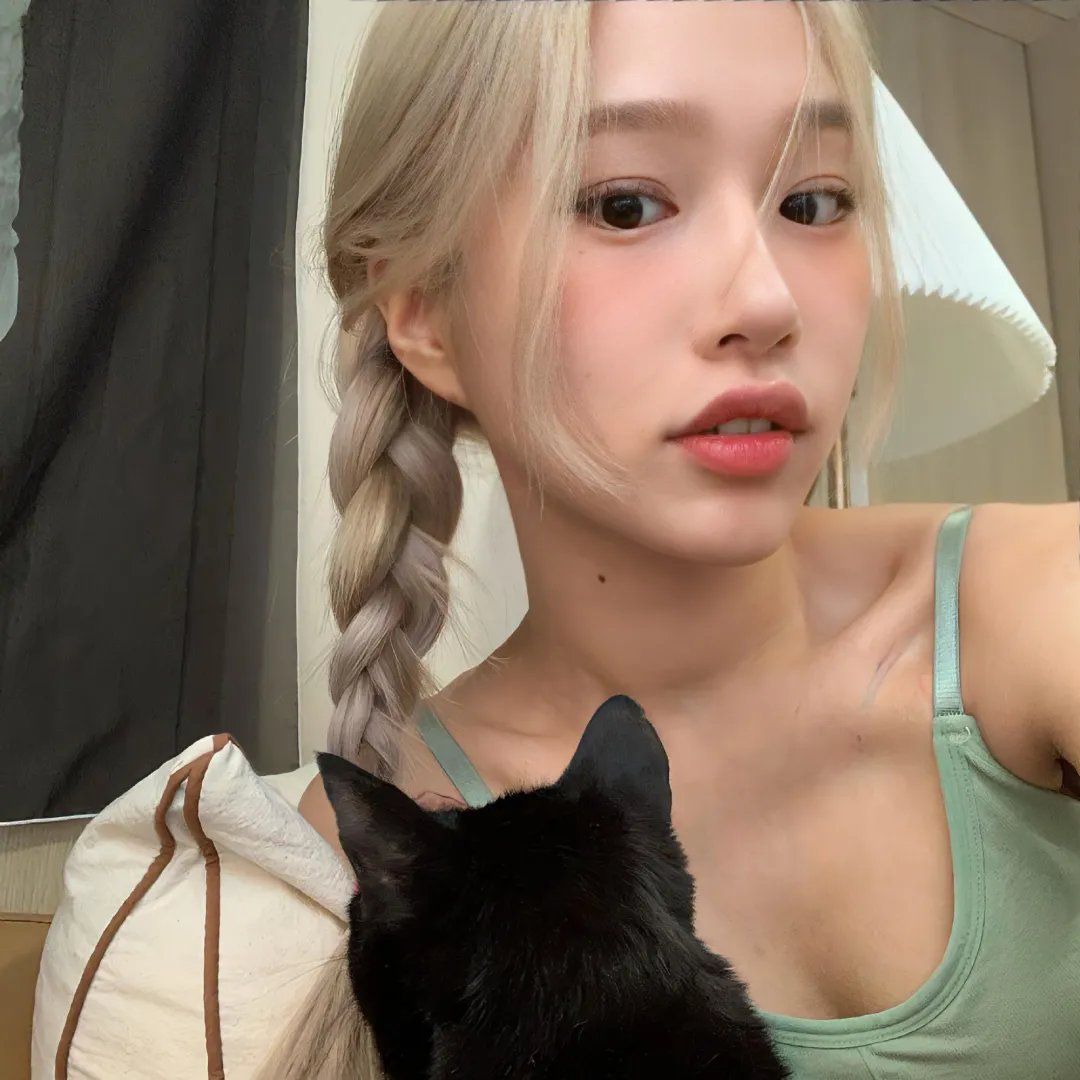 最后的飞行